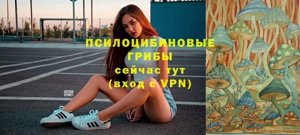 mdma Лагань