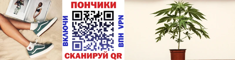 Конопля THC 21%  Фатеж 